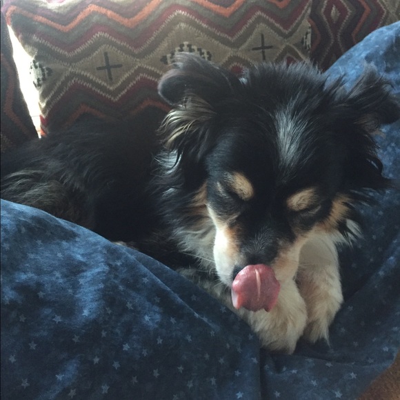 Meet your Posher, Rae - Picture 3 of 4